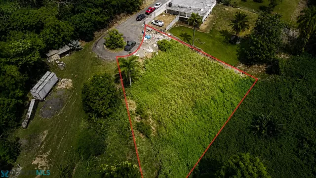 Barrio El Verde en Rio Grande, PR