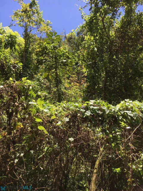 Barrio Hato Viejo venta en Arecibo, PR
