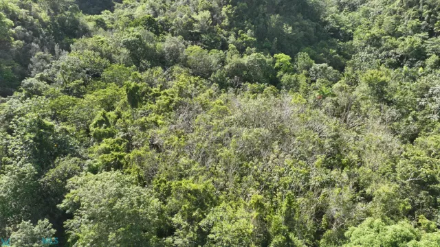 Barrio Hato Viejo en Arecibo, PR