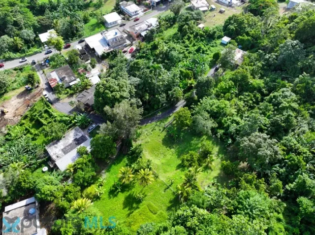Barrio Rocha venta en Moca, PR