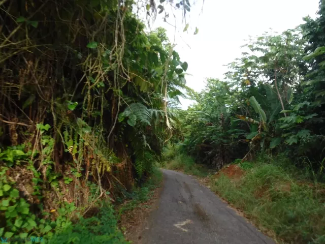 Barrio Espino venta en Lares, PR