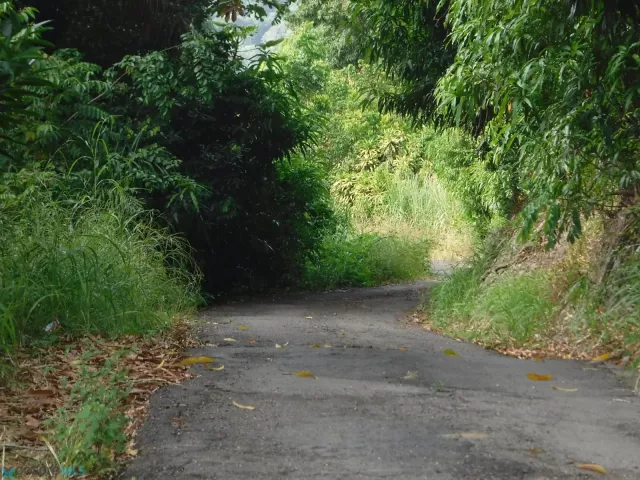 Barrio Espino venta en Lares, PR