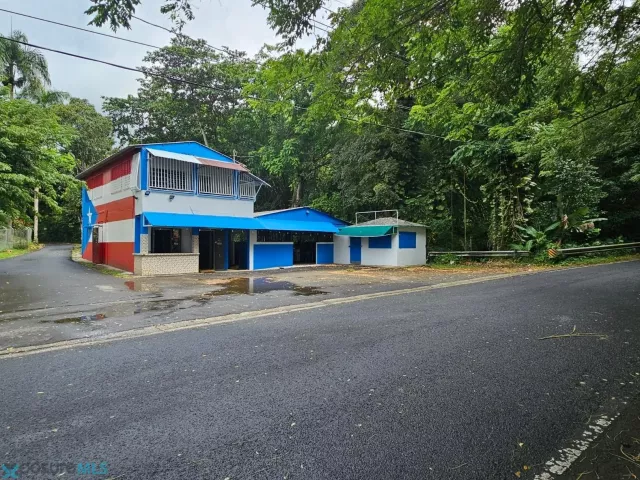 Barrio Rio Arriba venta en Fajardo, PR
