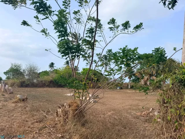 Barrio Bejucos venta en Isabela, PR
