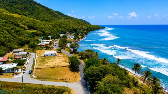 Barrio Guardarraya venta en Patillas, PR