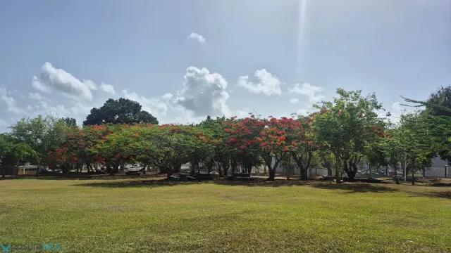 Condo Portales Parque Escorial alquiler en Carolina, PR