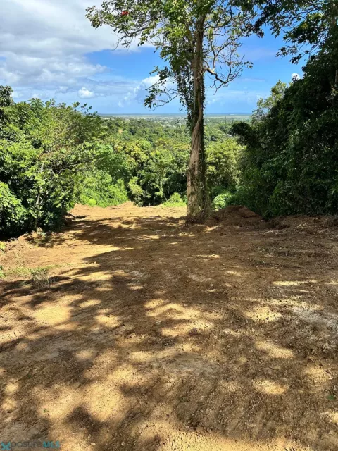 Barrio Jimenez venta en Rio Grande, PR