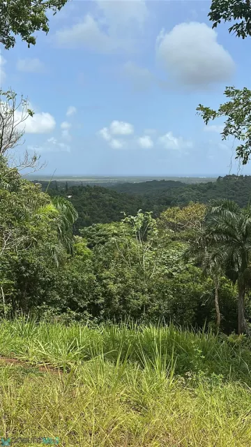 Barrio Jimenez venta en Rio Grande, PR