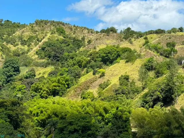 Barrio Paso Palmas venta en Utuado, PR