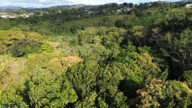 Barrio Cruces venta en Aguada, PR