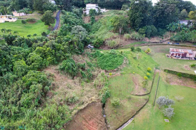Barrio Padilla venta en Corozal, PR