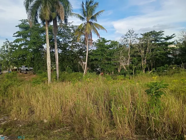 Barrio Barahona alquiler en Morovis, PR