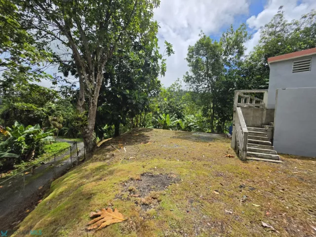 Barrio Quebrada Arenas venta en San Lorenzo, PR