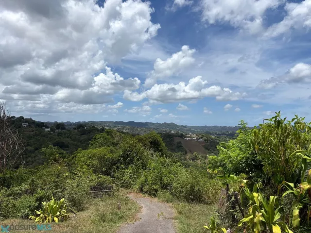 Barrio Dos Bocas venta en Corozal, PR