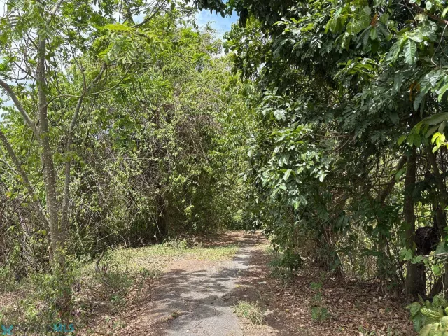 Barrio Dos Bocas venta en Corozal, PR