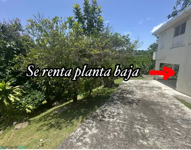 Barrio Jaguey alquiler en Aguada, PR