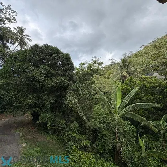Barrio Achiote venta en Naranjito, PR