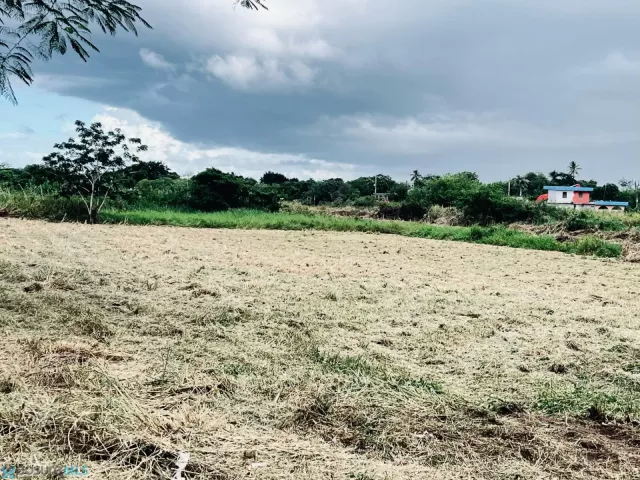 Barrio Rincon Grande venta en Arecibo, PR