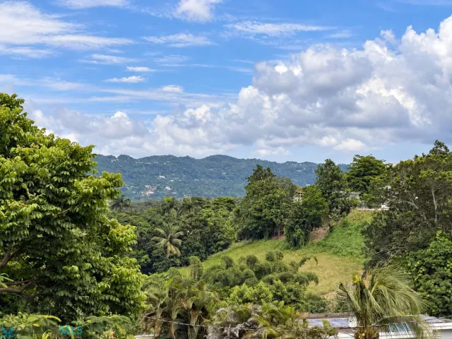 Barrio Mamey venta en Aguada, PR