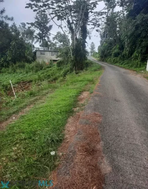 Barrio Naranjo venta en Moca, PR