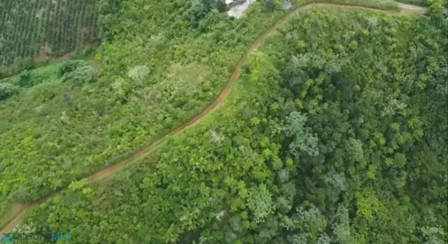 Barrio Bauta Abajo venta en Orocovis, PR