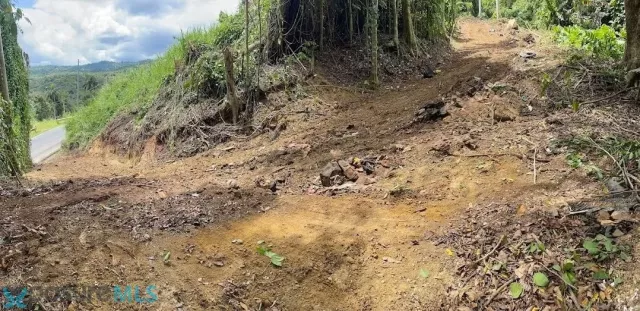 Barrio Unibon venta en Morovis, PR