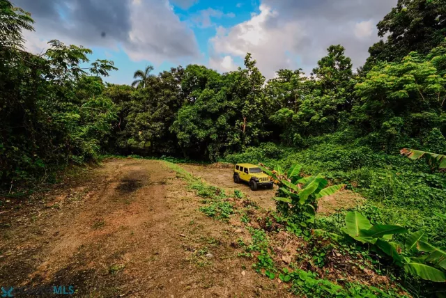 Barrio Cruces venta en Aguada, PR