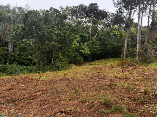 Barrio Bayamon venta en Cidra, PR