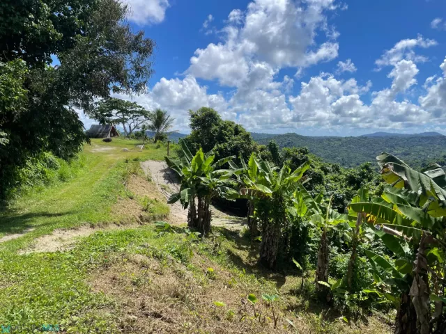 Barrio Quebrada Honda venta en San Lorenzo, PR